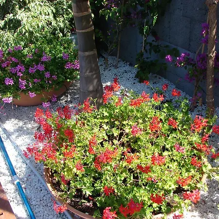 Puerto Colon, Las Americas Villa